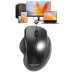 Мышь Philips M624 беспроводная, 1600 DPI, black