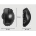 Мышь Philips M624 беспроводная, 1600 DPI, black